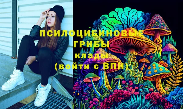 синтетический гашиш Коряжма