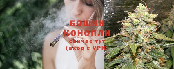 бошки Корсаков