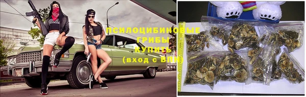 бошки Корсаков