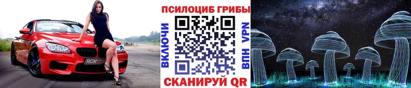 Псилоцибиновые грибы мухоморы дарнет шоп Кстово